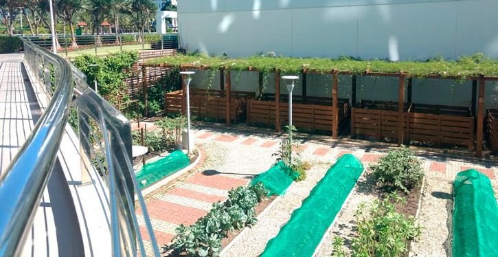 Condominio Brava Horta Site