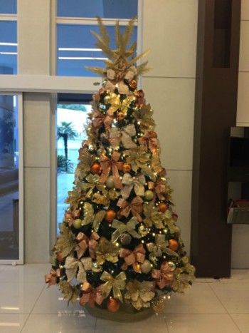 Decoracao Natalina Balneario Camboriu