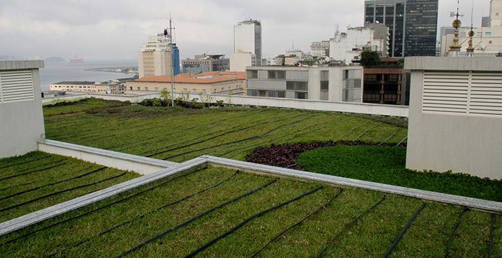 Telhado Verde